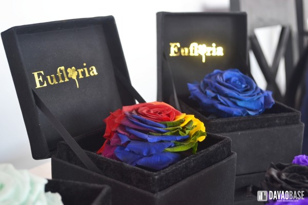eufloria-boxed-flowers