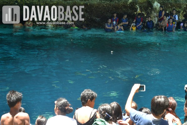 people watching fish feeding in Enchanted River