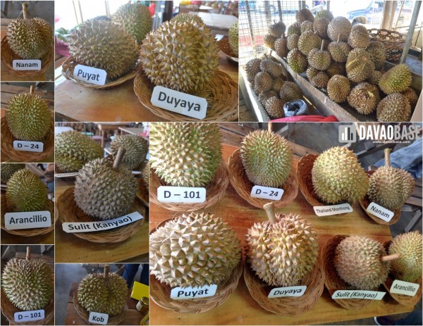 Rosario's Durian